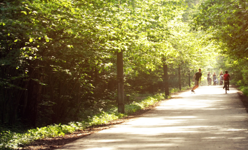 New biking trails proposed for Southwest Michigan